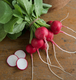 Cherry Belle Radish Seed by the 1/2oz