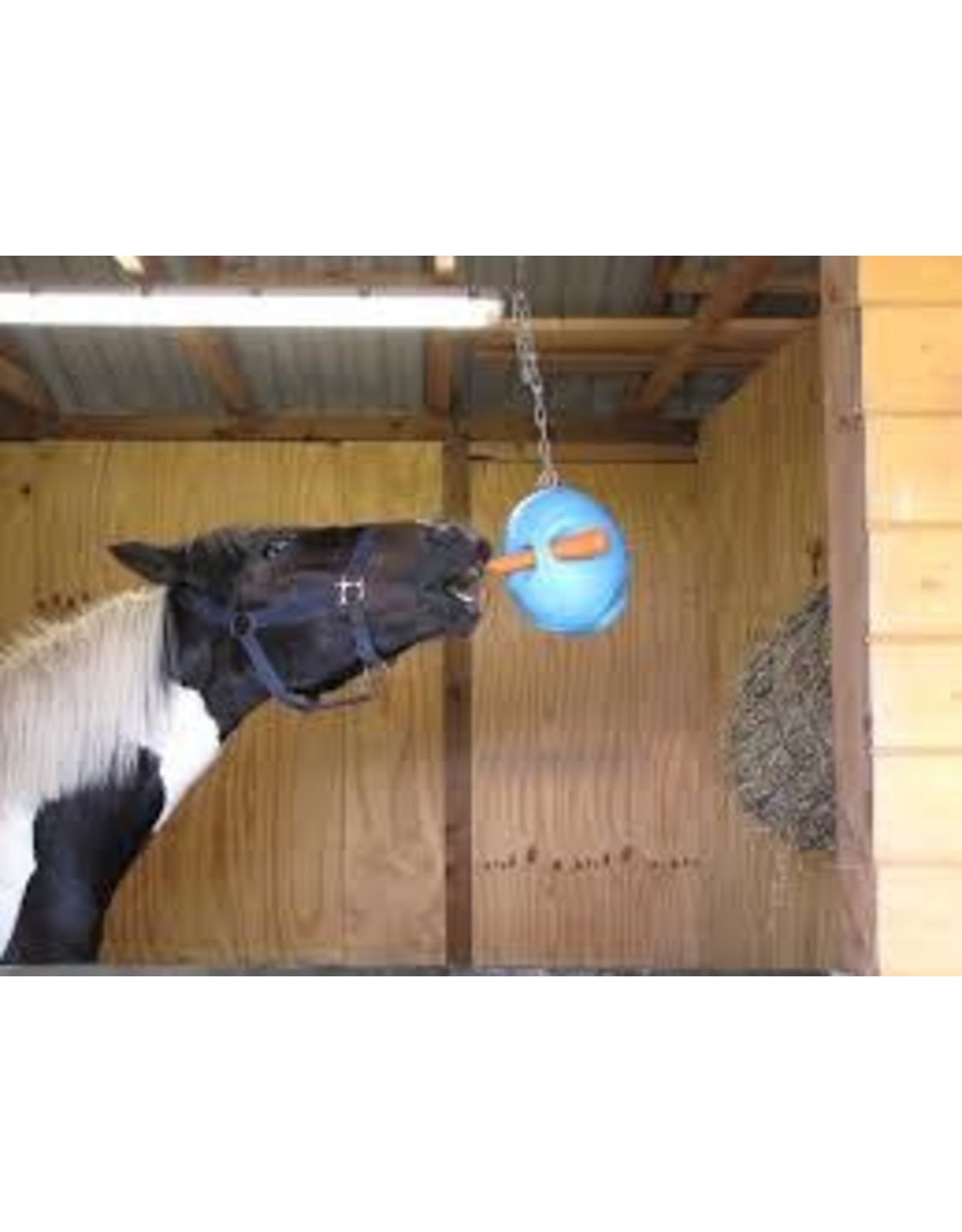 horse carrot ball