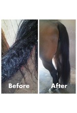 The Knotty Horse Knotty Horse Apricot Oil Treatment & Detangler