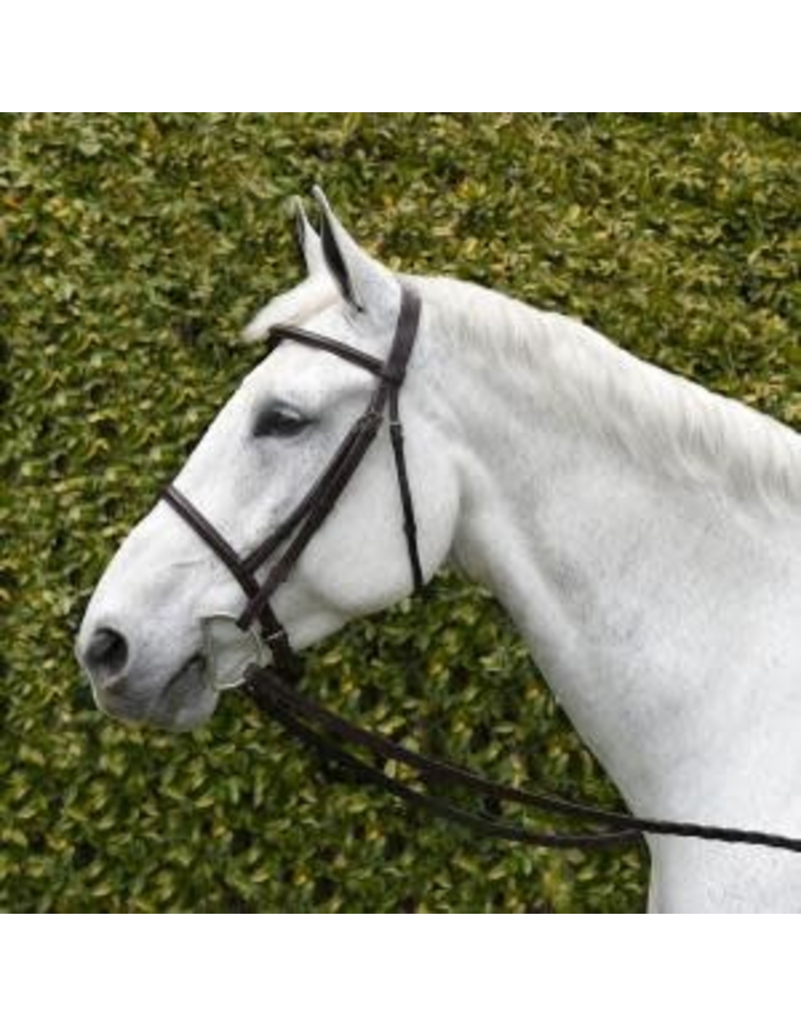 Silver Spur Raised Snaffle Bridle With Reins