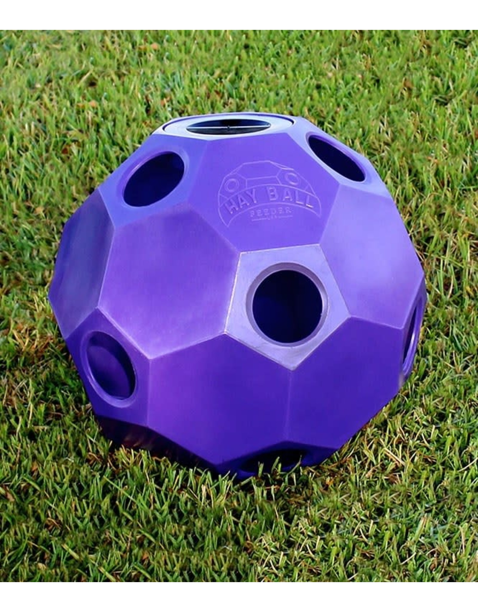 Hay Play Horse Feeder Ball