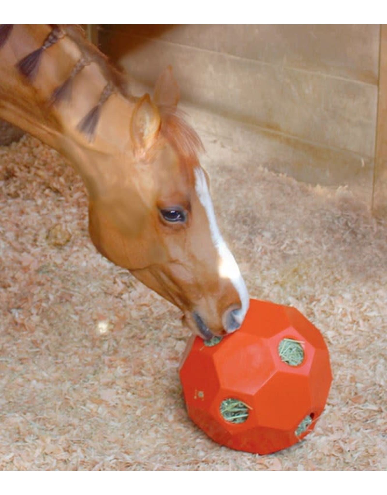 Hay Play Horse Feeder Ball