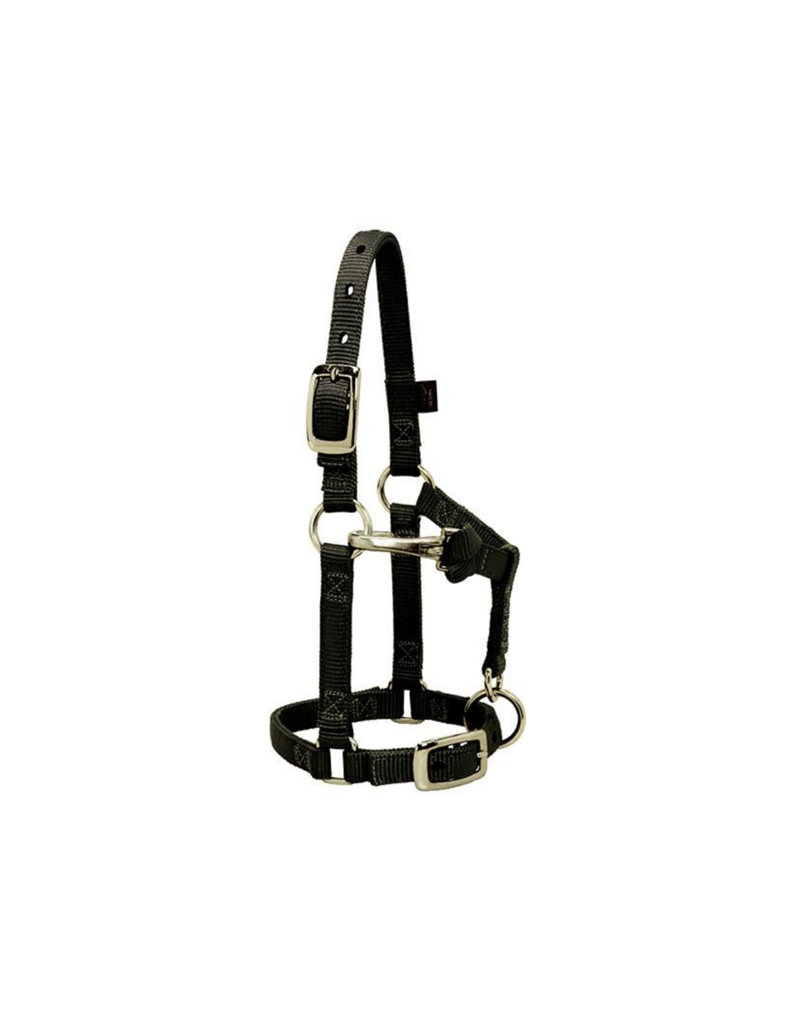 Weaver® Original Adjustable Chin and Throat Snap Halter, 1 Small Horse