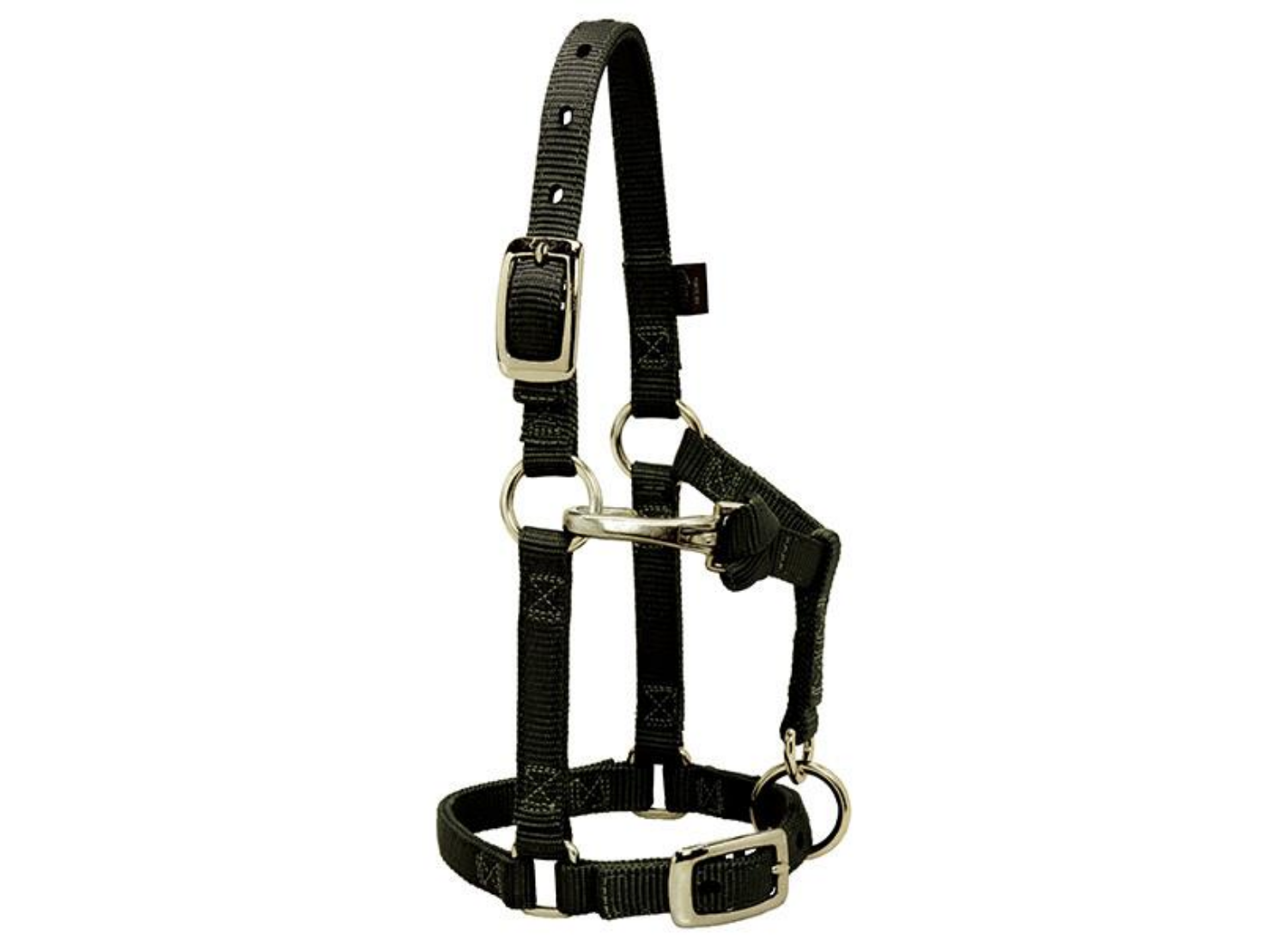 Adjustable Nylon Mini/Suckling Halter 5/8 Weaver - San Diego Saddlery