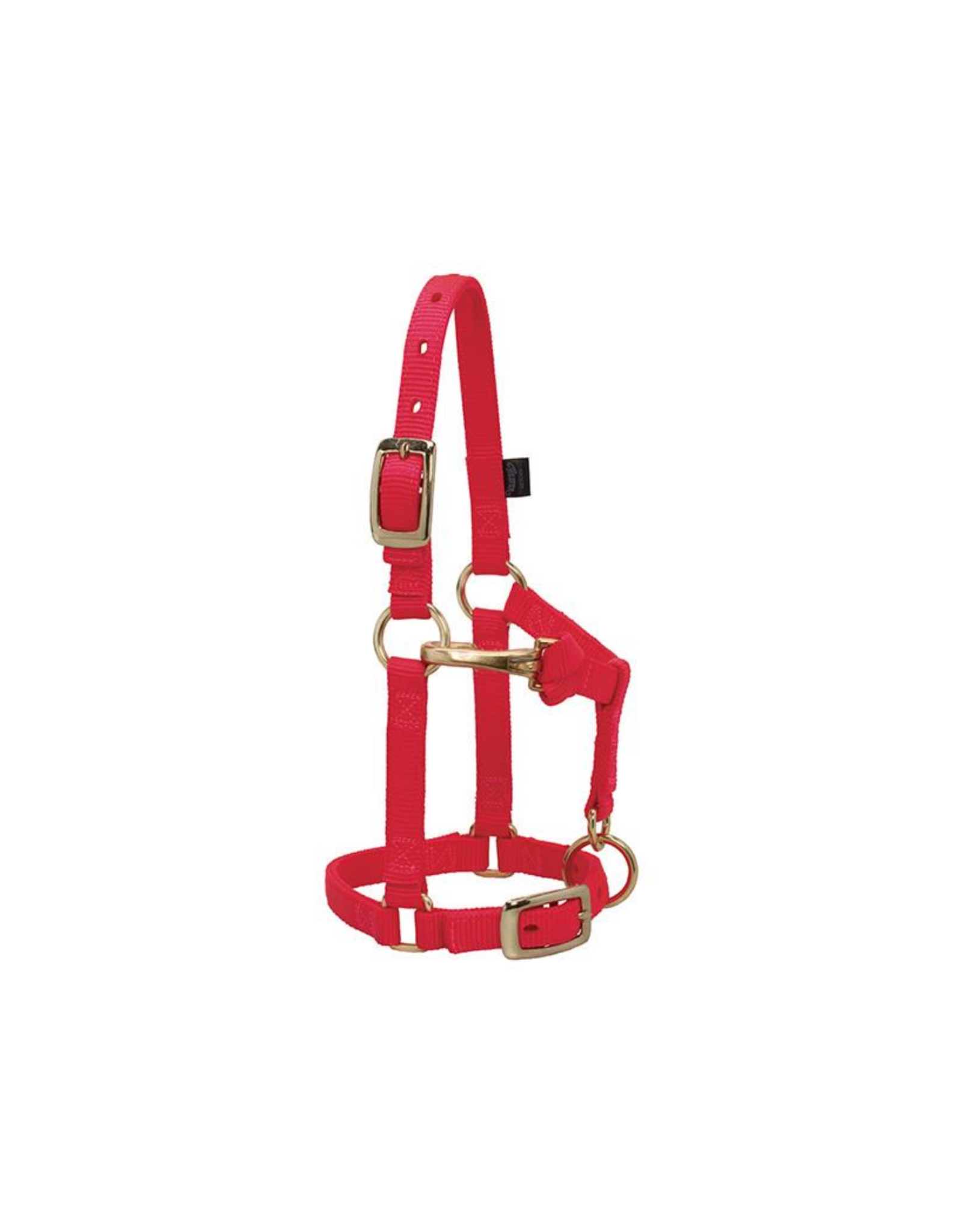 Adjustable Nylon Mini/Suckling Halter 5/8 Weaver - San Diego Saddlery