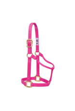 Weaver Non-Adjustable Nylon Pony/Weanling Halter 3/4"
