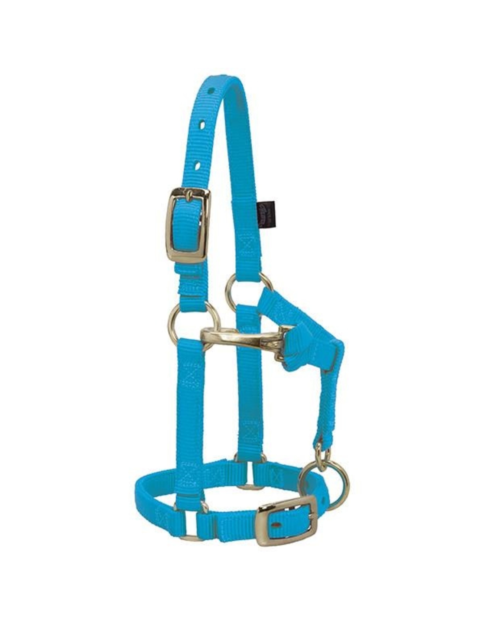 Weaver Adjustable Nylon Mini/Suckling Halter 5/8" - 3/4"