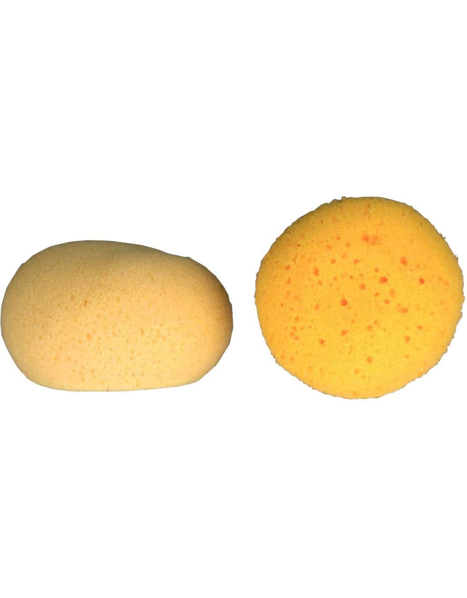 Sponge Hadera II Tack Sponge