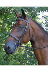 Black Oak Bridle Spruce Square Raised Fancy w/ Reins