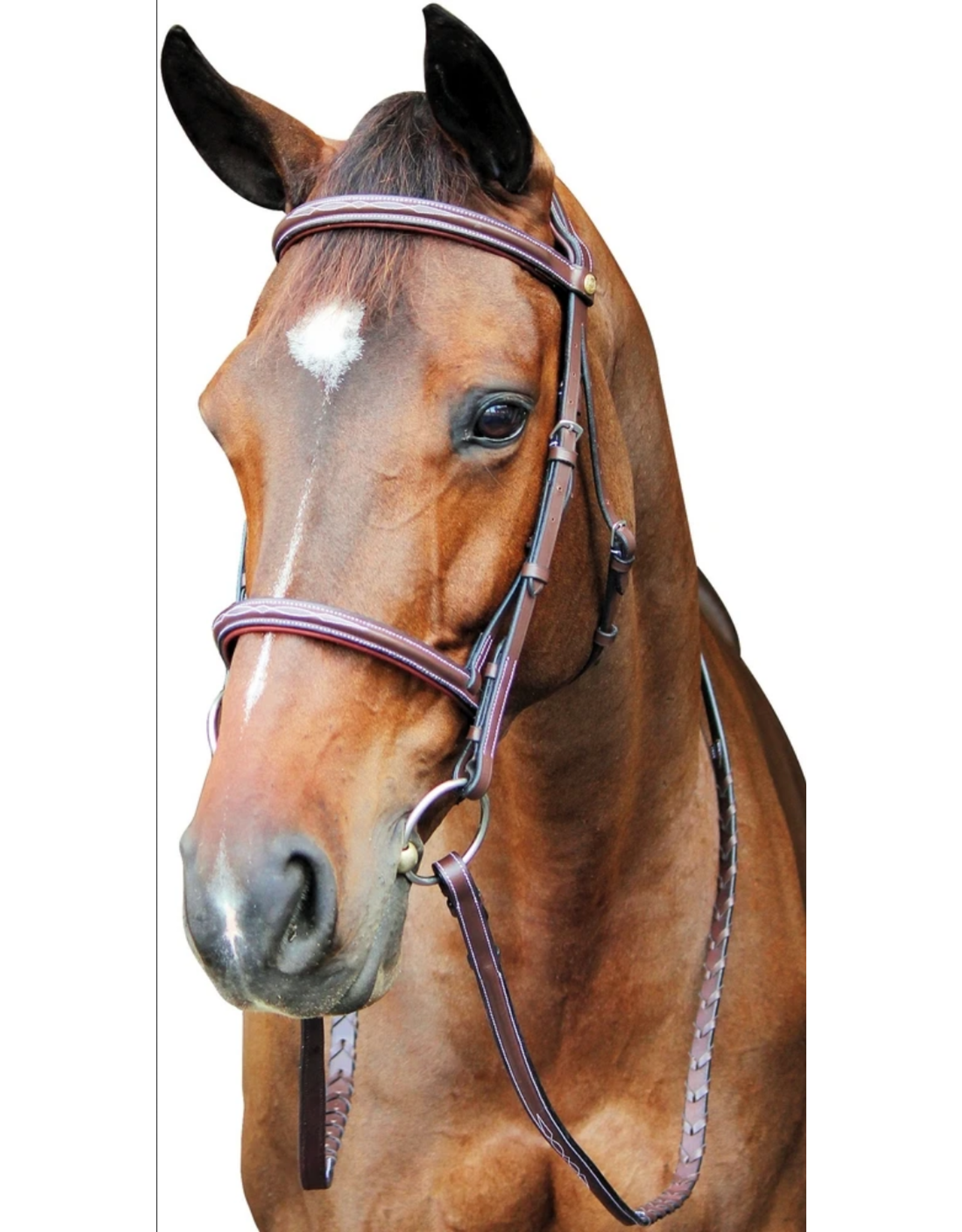 Pro Fancy Raised Comfort Padded Bridle With Reins