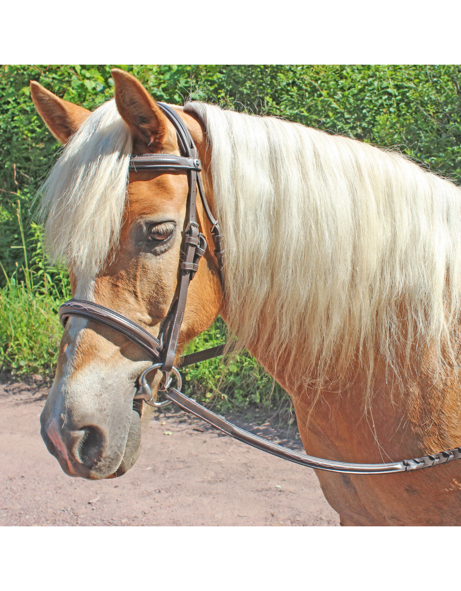 Pro Fancy Raised Comfort Padded Bridle With Reins