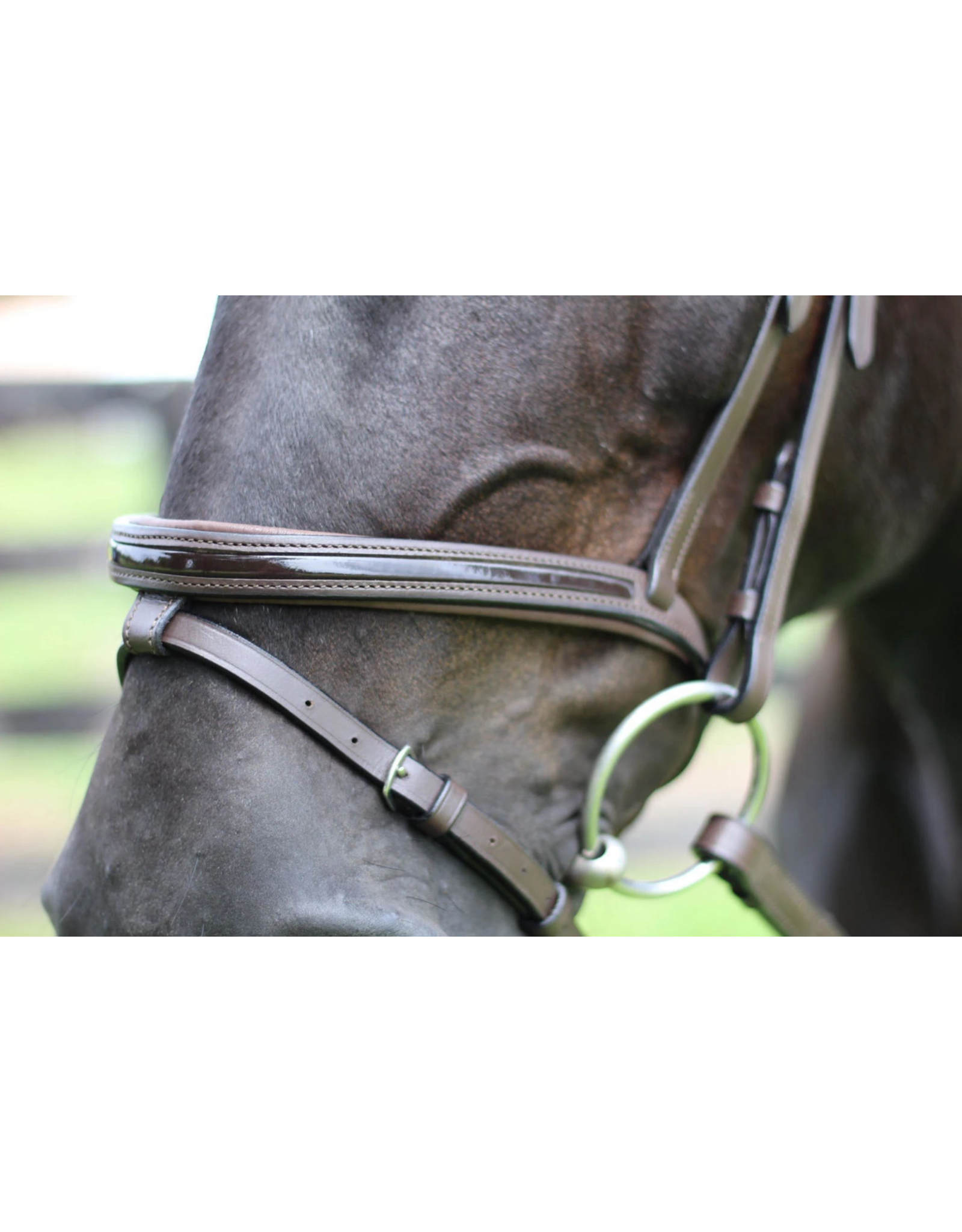 Pro Piaffe Mono Crown Bridle with Flash Patent Leather and Reins
