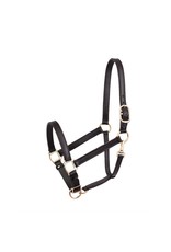 Perri’s Halter Leather 1" Havana Turnout