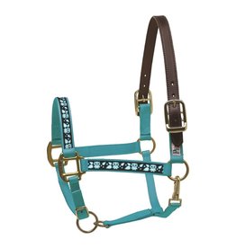 Perri’s Halter Safety Turquoise Owl