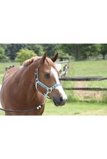 Perri’s Halter Safety Royal Hippos