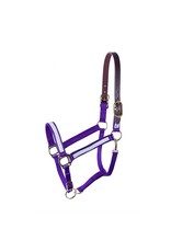 Perri’s Halter Safety Purple Arrows