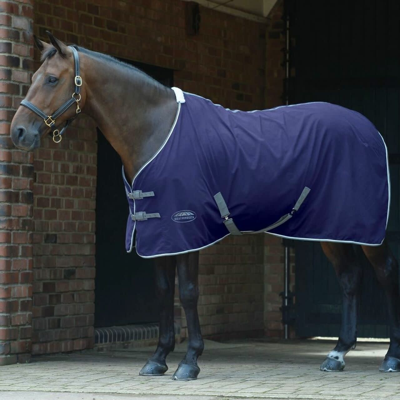 Stable Sheet Cotton WB San Diego Saddlery