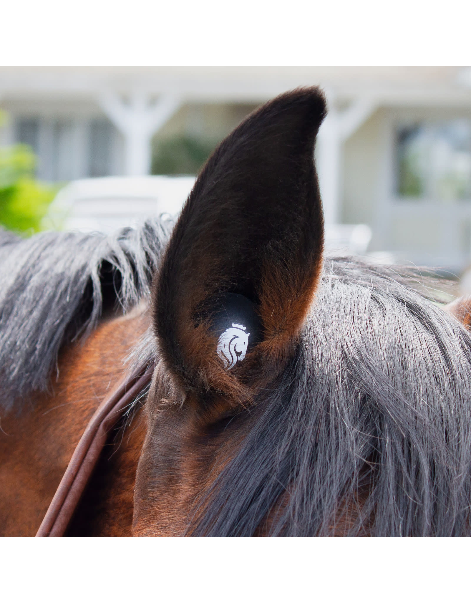 Horze BudZ 3 Pairs Ear Plugs