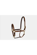 LÉTTIA Padded Leather Halter W/ Fancy Stitching Brown w/ White Stitching Horse