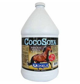 Cocosoya Oil Equine Gallon