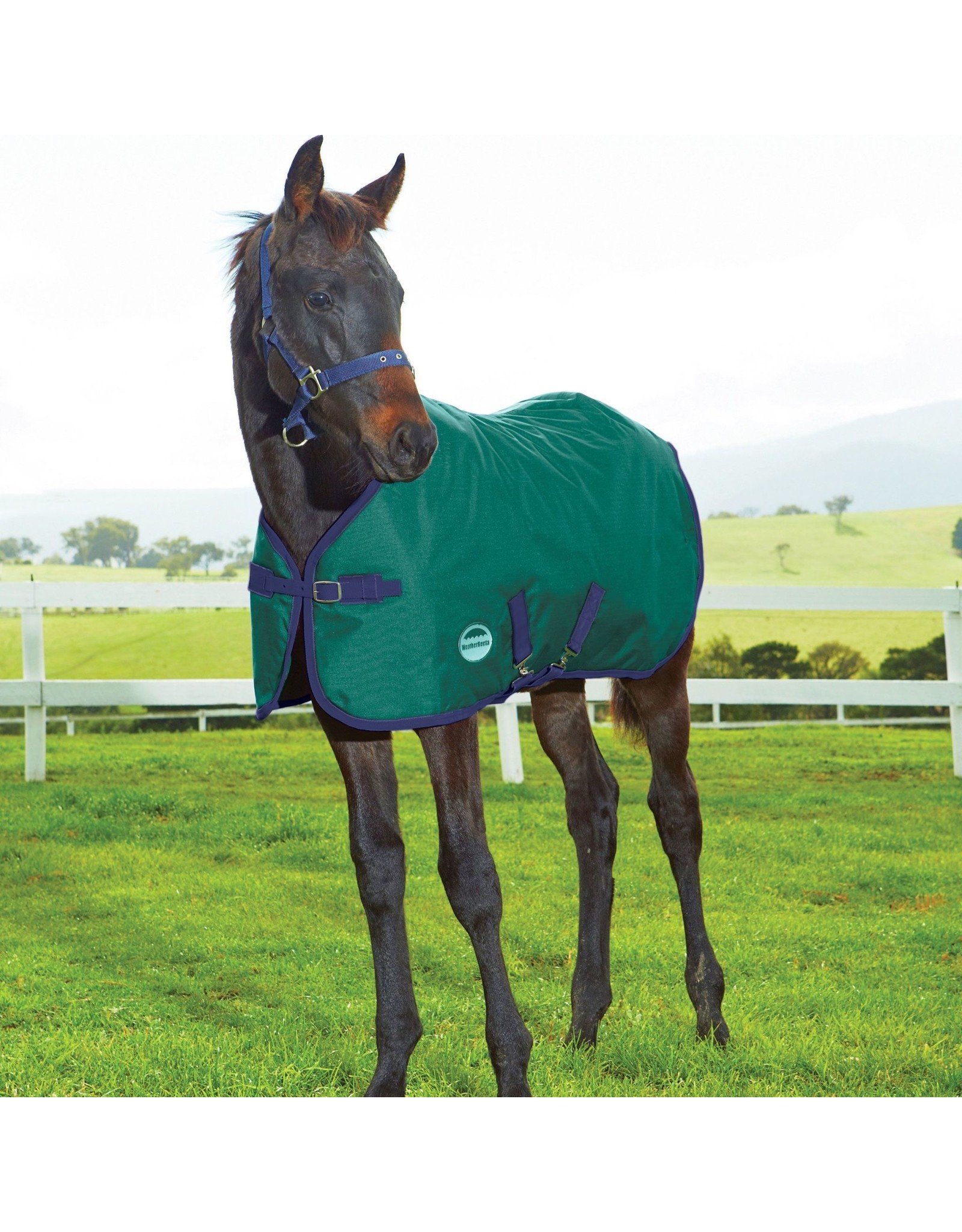 WEATHERBEETA Blanket Foal/Mini 1200D 220g