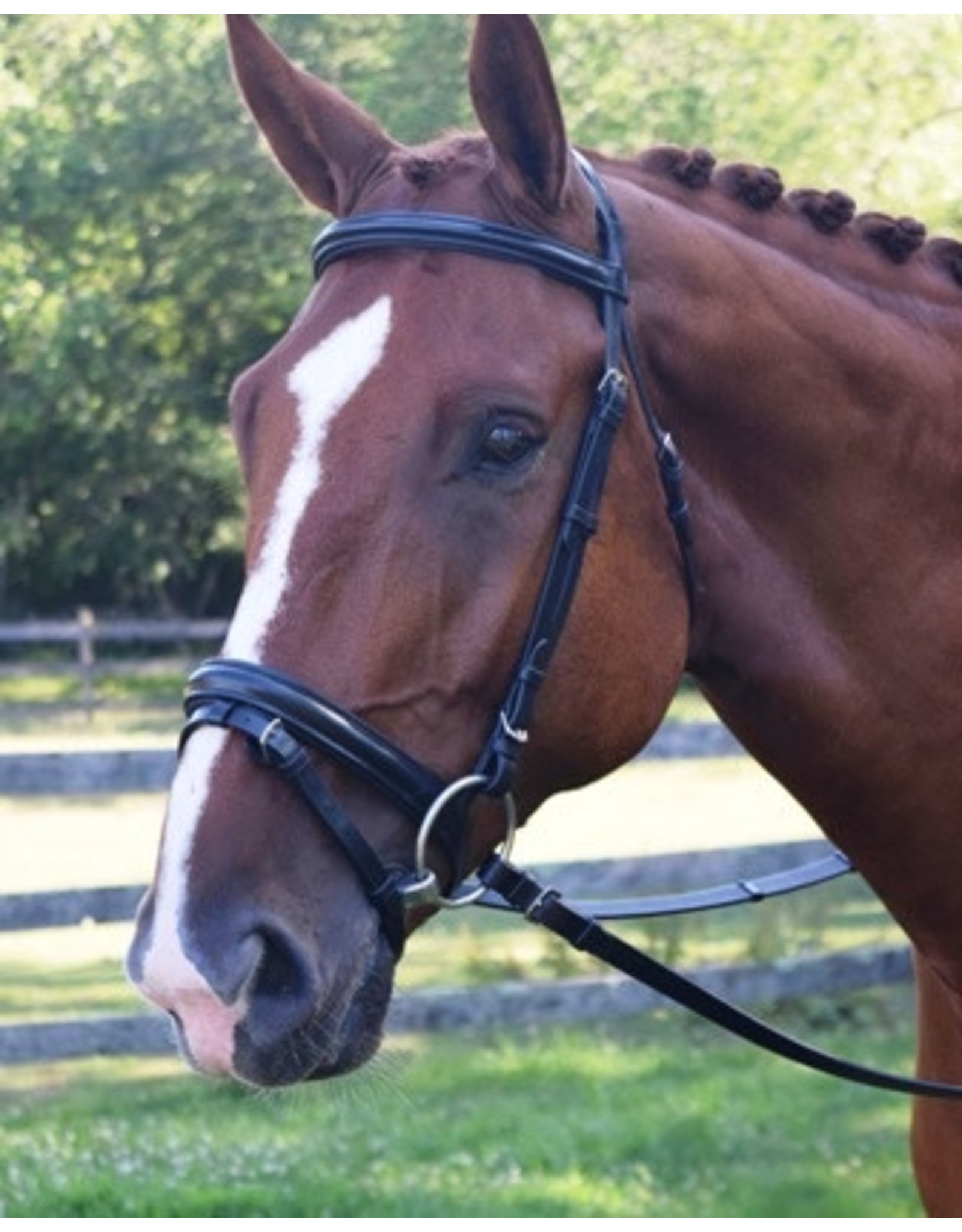 Black Oak Juniper Dressage Bridle