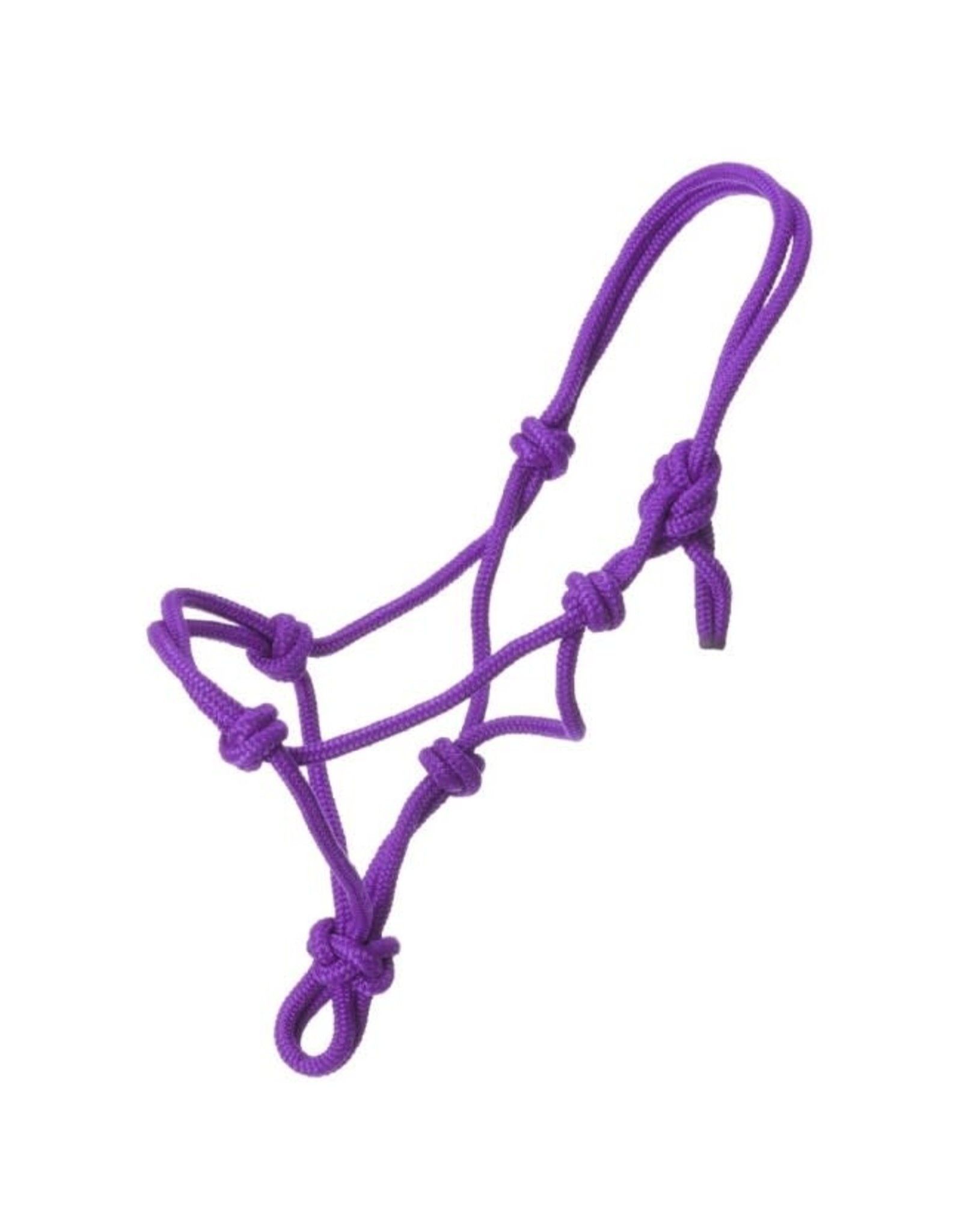 Tough One Halter Miniature Poly Rope Tied