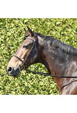 Black Braided Bridle w/ Reins Full Size