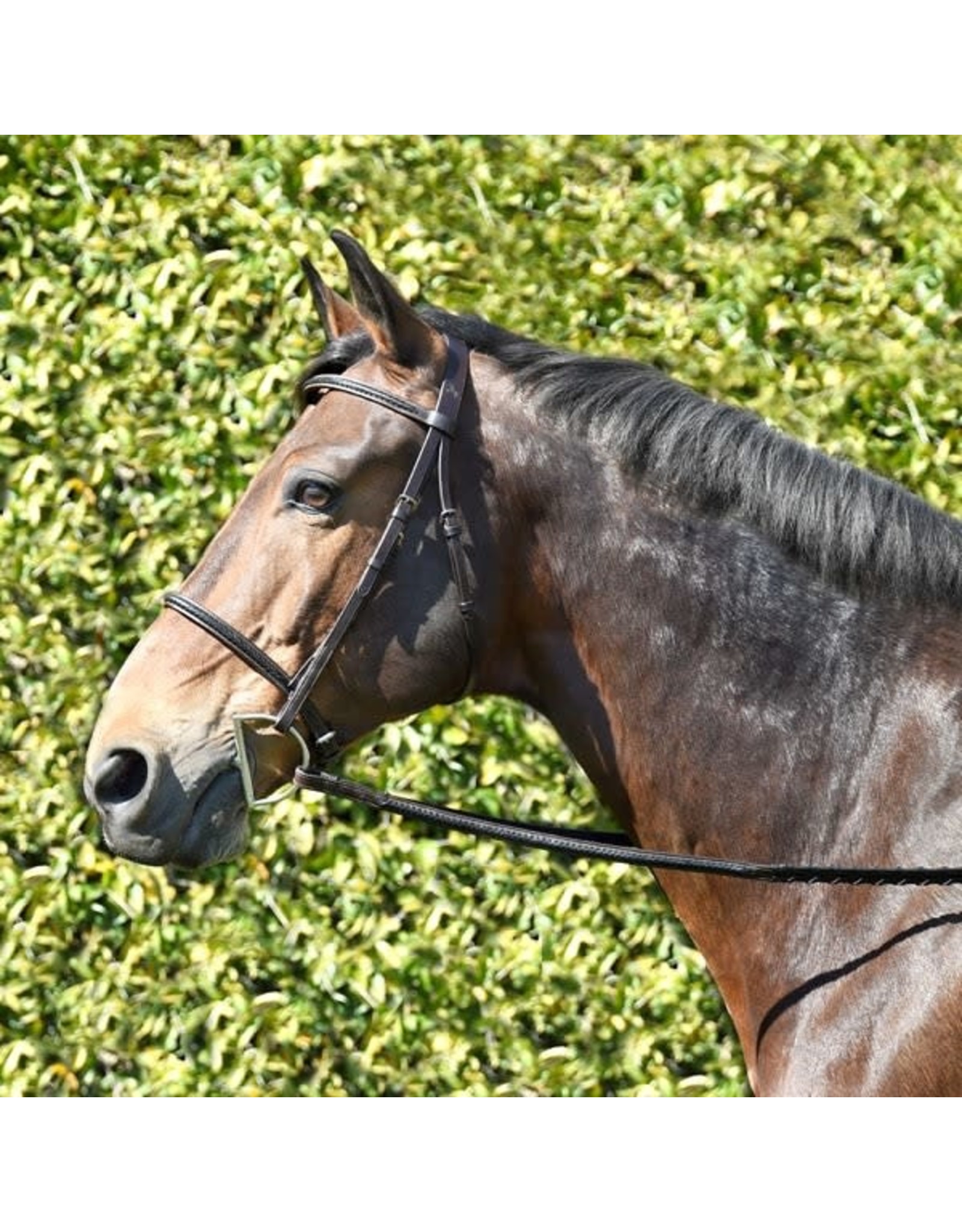 Black Braided Bridle w/ Reins Full Size