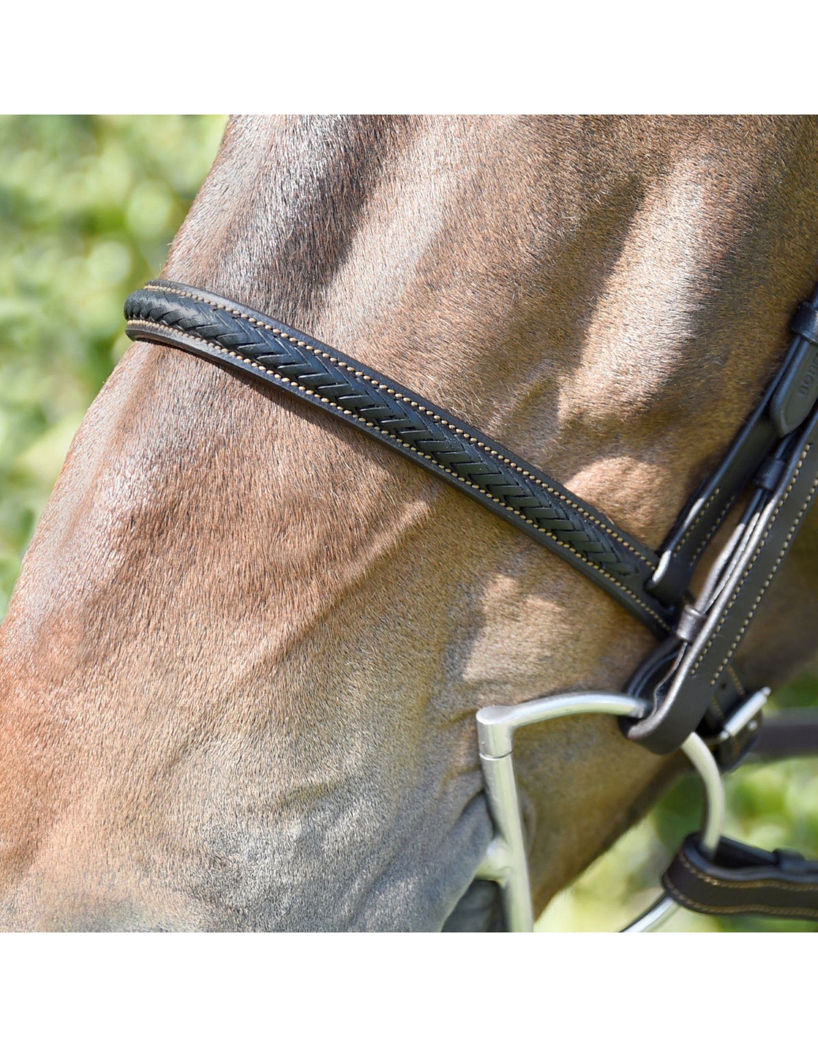 Black Braided Bridle w/ Reins Full Size