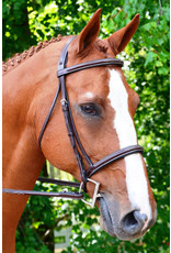 Black Oak Aster Bridle Round Raised Padded w/laced reins Brown