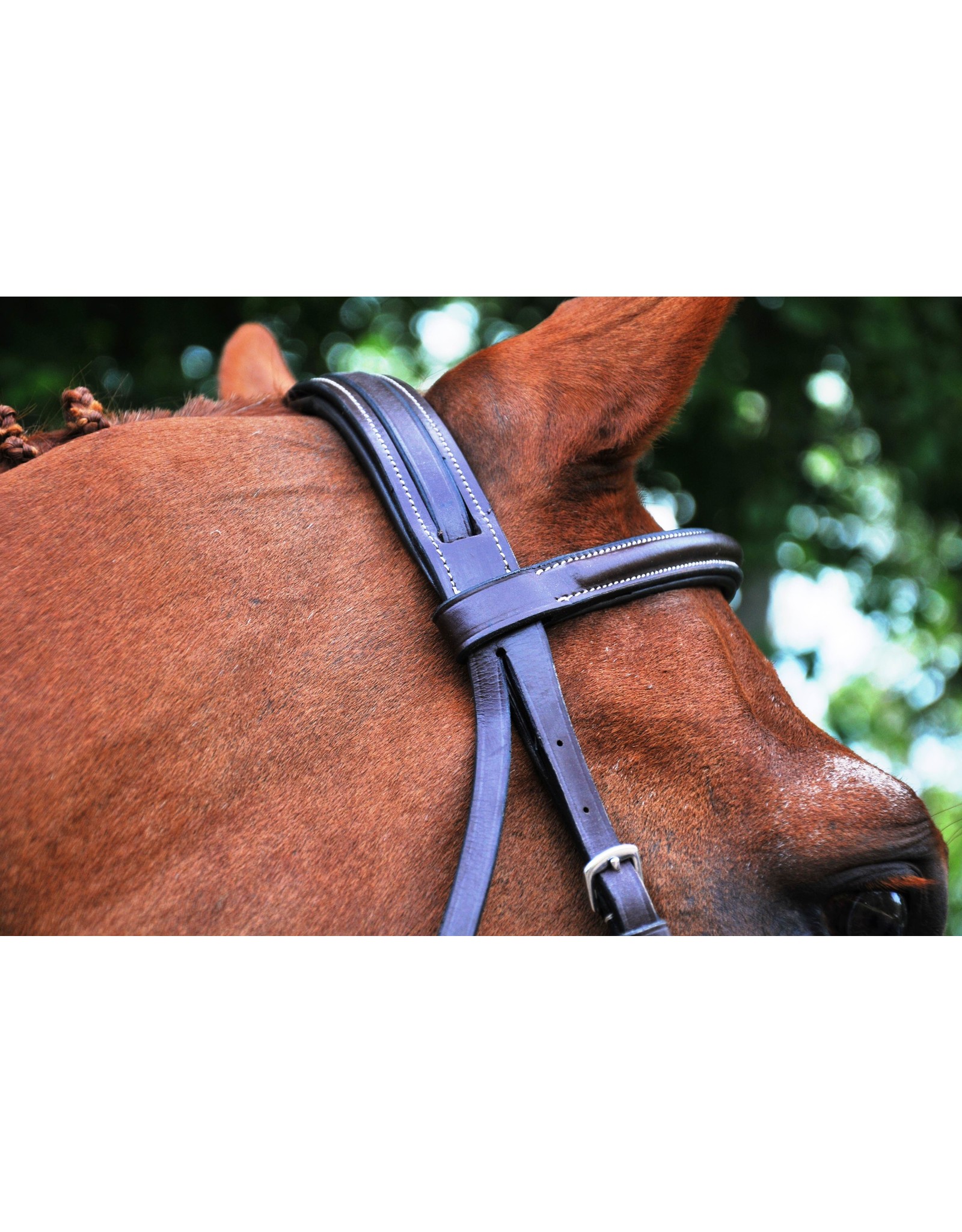 Black Oak Aster Bridle Round Raised Padded w/laced reins Brown