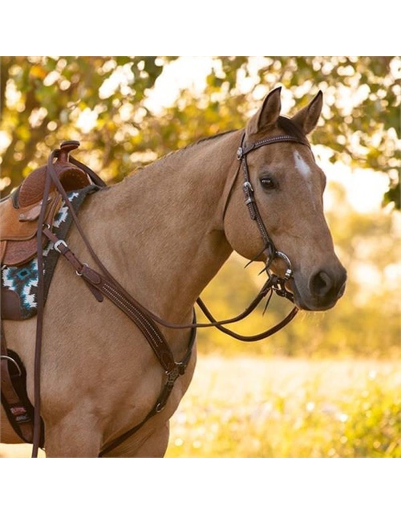 Weaver Headstall Browband Austin Collection