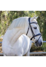 Halter Ego Sterling Navy Leather Conical Snaffle