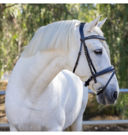 Halter Ego Sterling Navy Leather Conical Snaffle