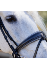 Halter Ego Sterling Navy Leather Conical Snaffle