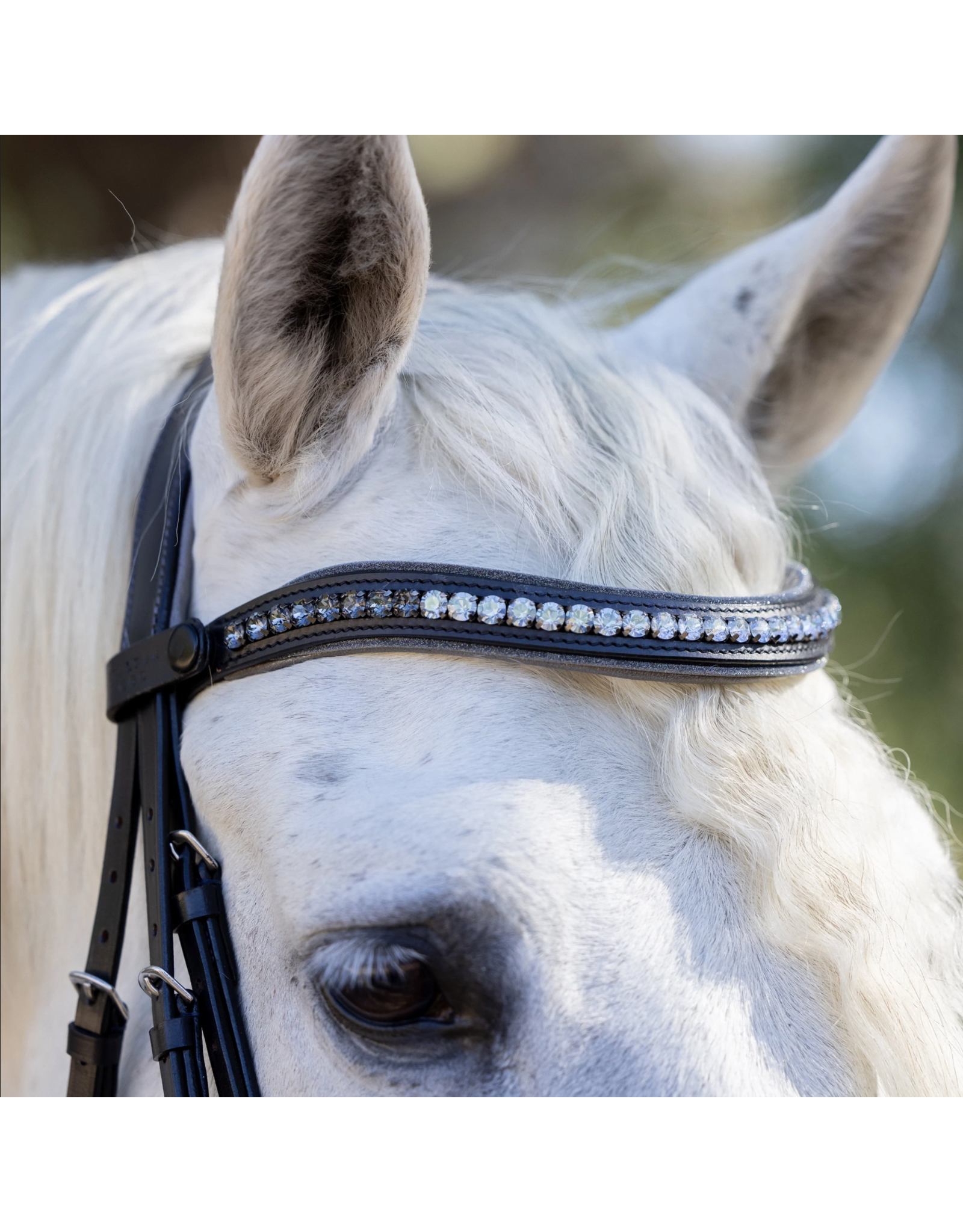 Halter Ego Sterling Navy Leather Conical Snaffle