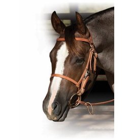 Professionals Choice Trail Halter BridleCombo in Natural Leather