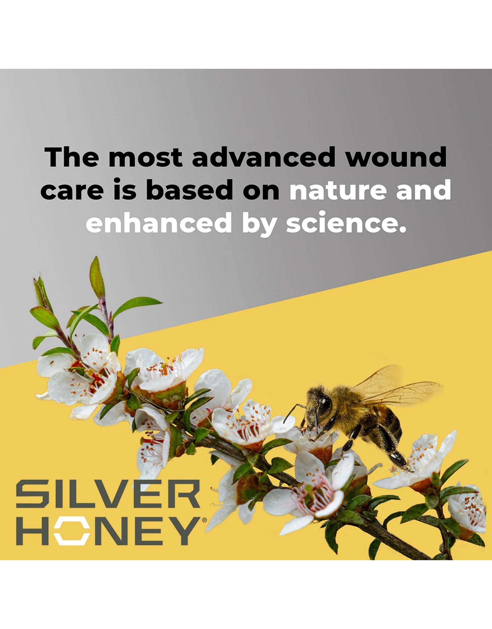 Siler Honey Rapid Skin Relief Medicated Shampoo 16oz