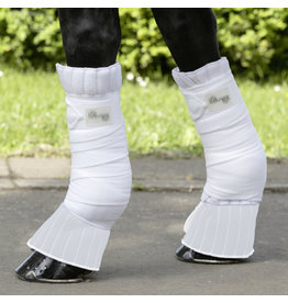 USG Coronet Protection Leg Pads