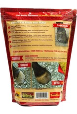 Horse Guard Biotin Hoof Blast