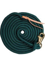 Kensington Clinician Training Lead  15'