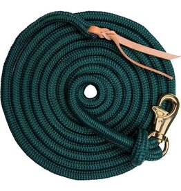 Kensington Clinician Training Lead  15'