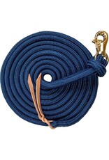 Kensington Clinician Training Lead  15'