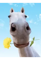 Greeting Card "Horse and Daisy"