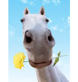 Greeting Card "Horse and Daisy"