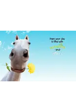 Greeting Card "Horse and Daisy"