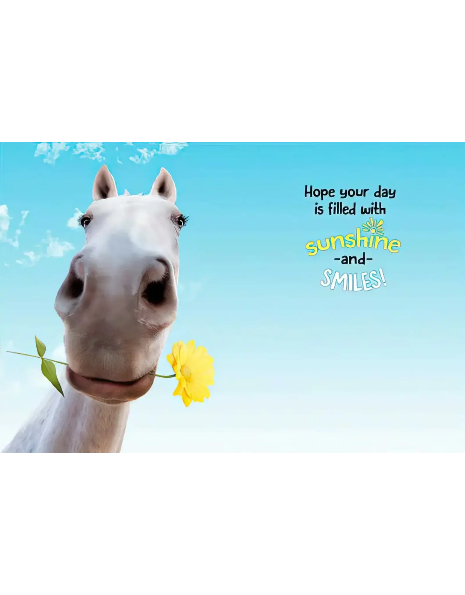 Greeting Card "Horse and Daisy"
