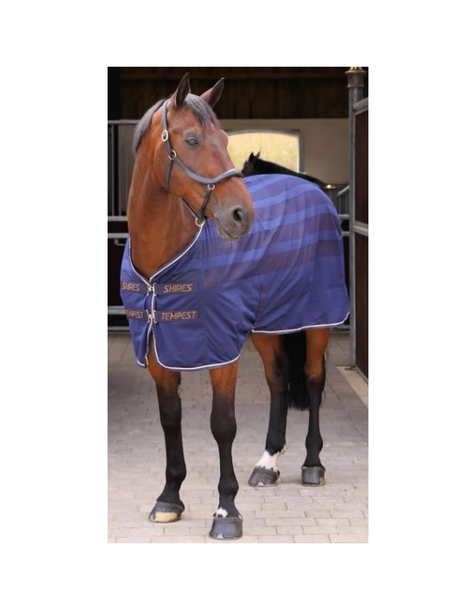 Shires Tempest Original Scrim Cooler Rug