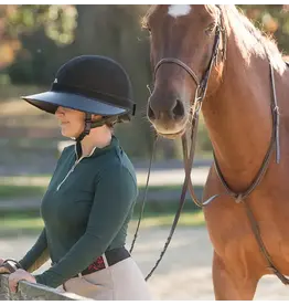 EquiVisor Sport Helmet Visor